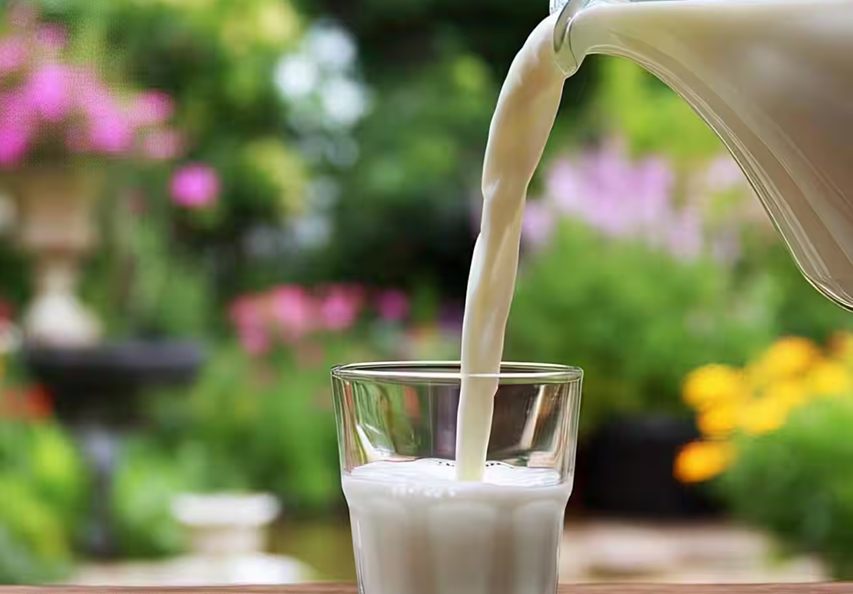 Mother Dairy raises milk prices by up