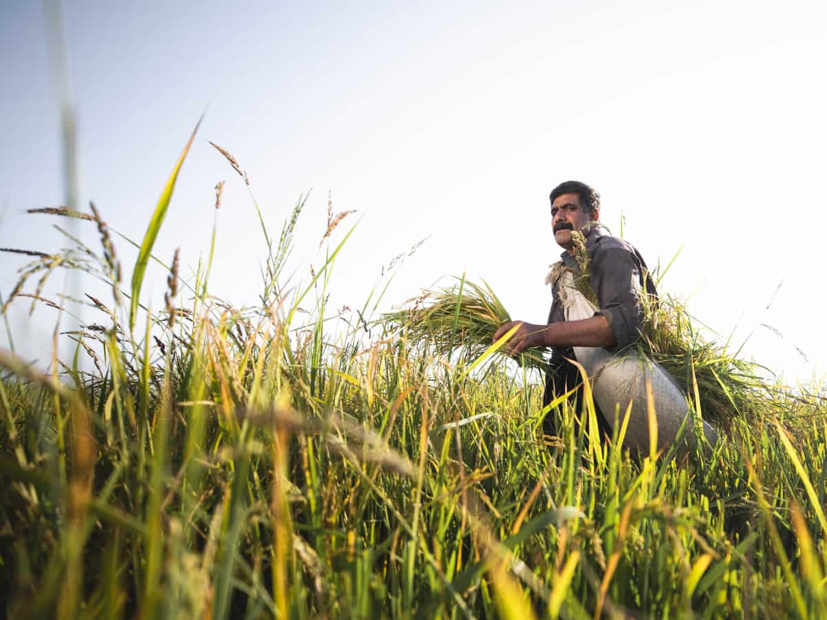 PM Kisan Yojana: When was the 19th installment released?