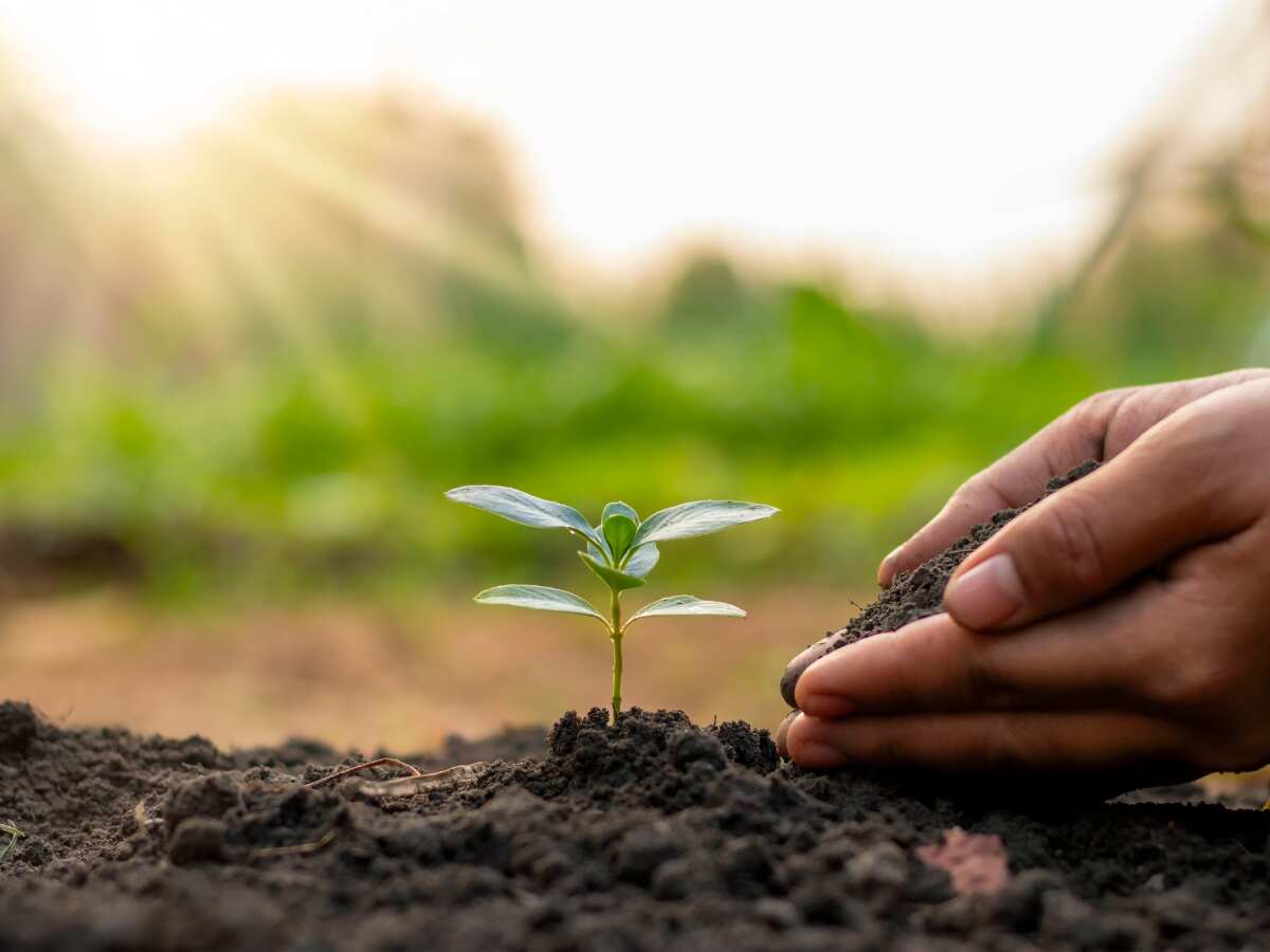 PM Kisan Yojana: Official email