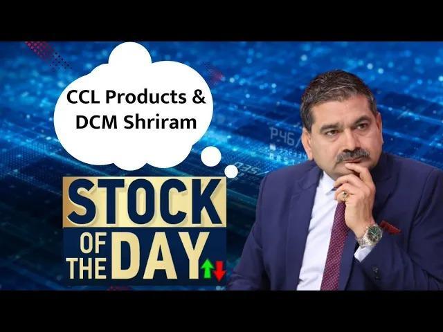 Anil Singhvi’s Top Stock Picks CCL Products, DCM Shriram, Full Analysis Inside