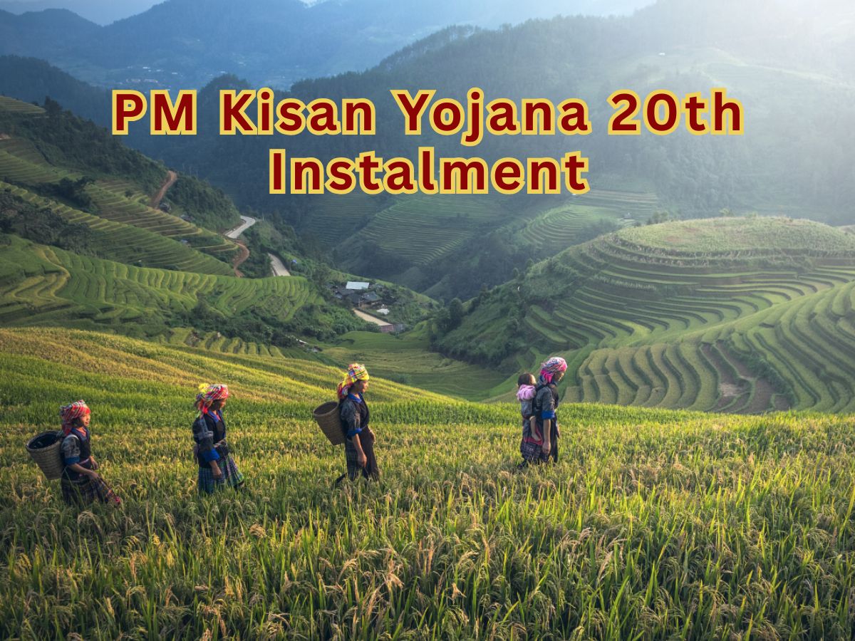 Waiting for PM Kisan 20th instalment? Do these 3 things or else Rs 2,000 will not be credited to your account