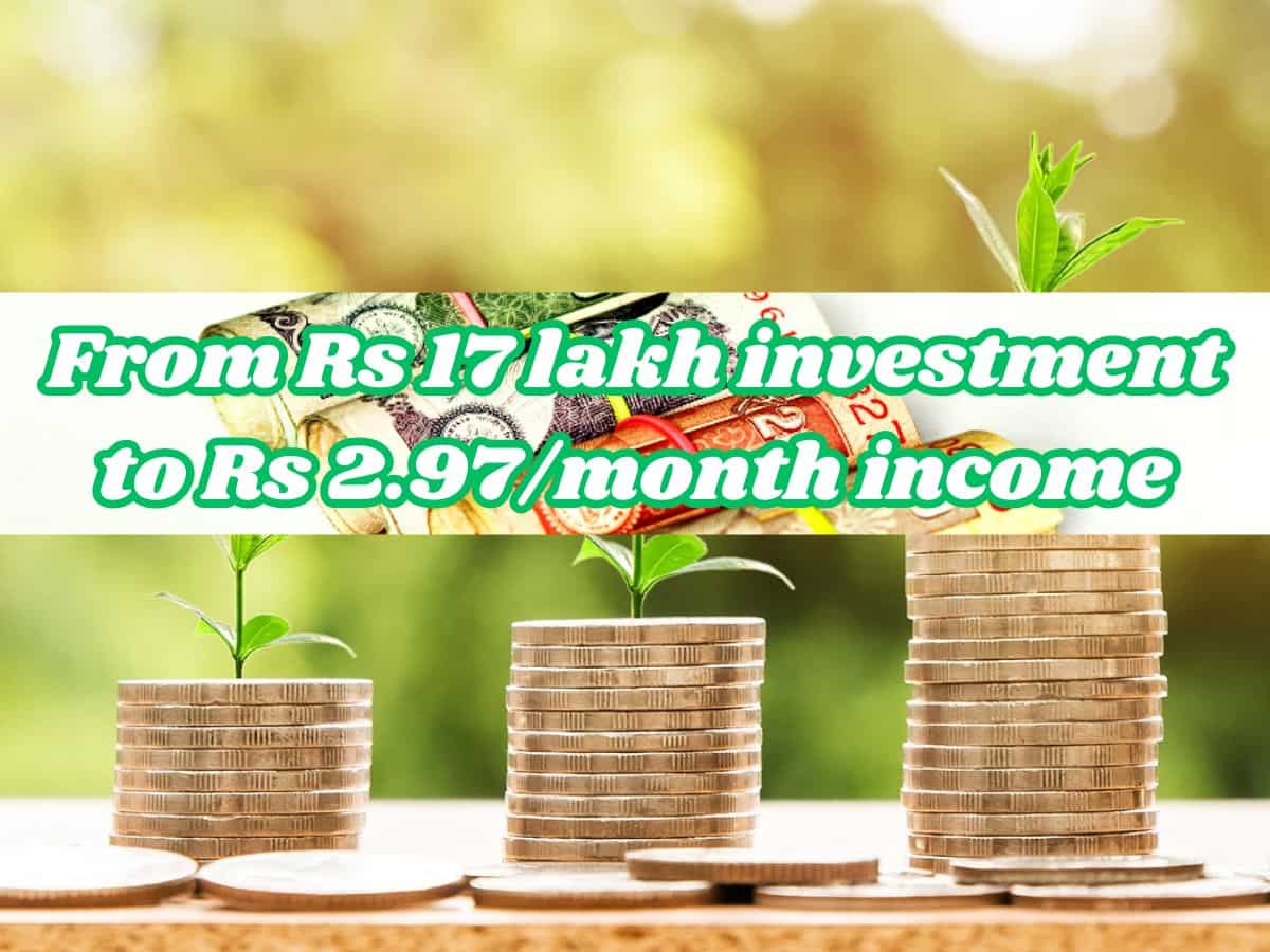 Monthly Income From One-time Investment: How one-time investment of Rs 17,00,000 can provide monthly income of Rs 2,97,000 for 30 years