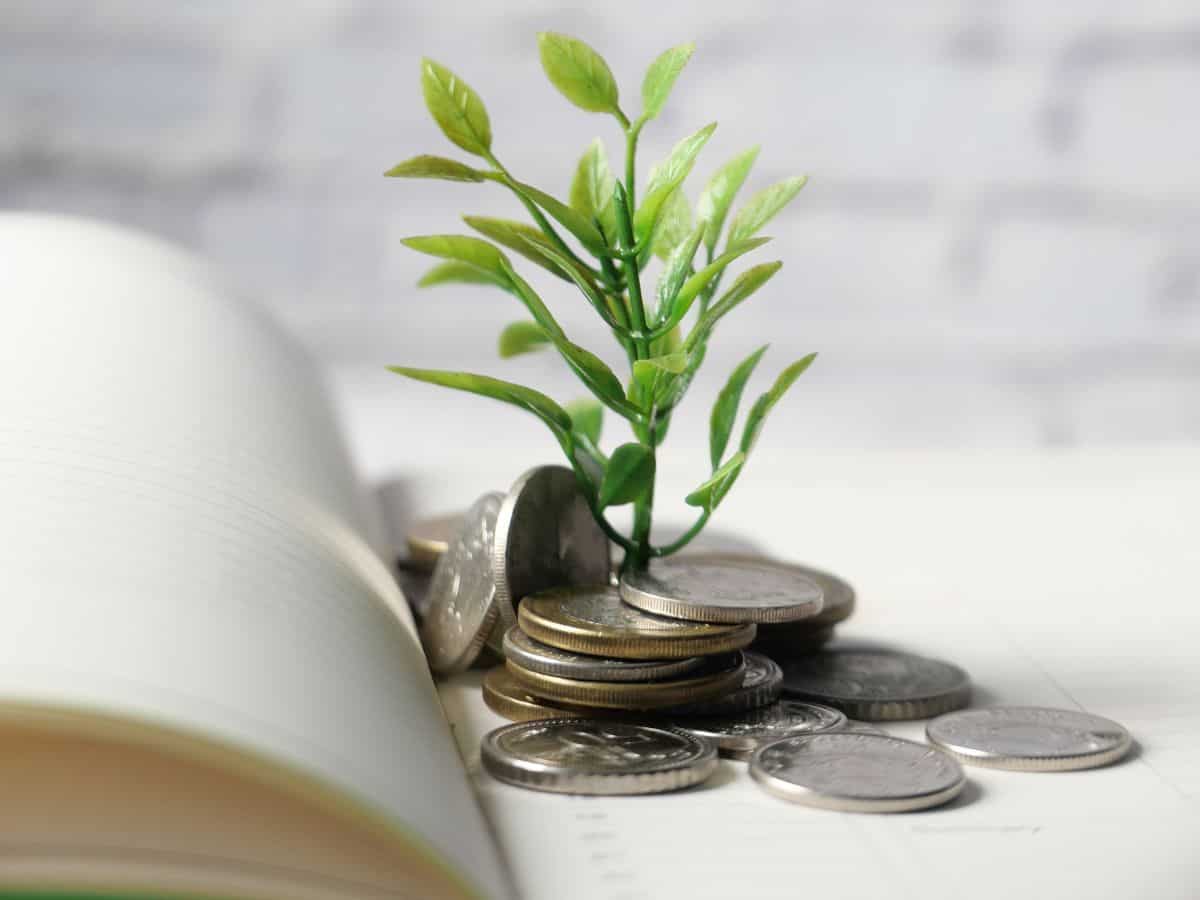 Rs 3.08 crore corpus in 30 years: Calculating average capital gain