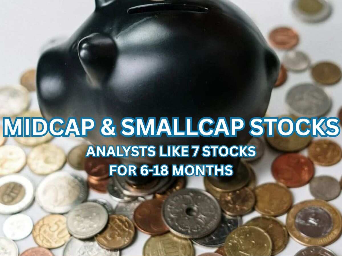 List of midcap and smallcap stocks