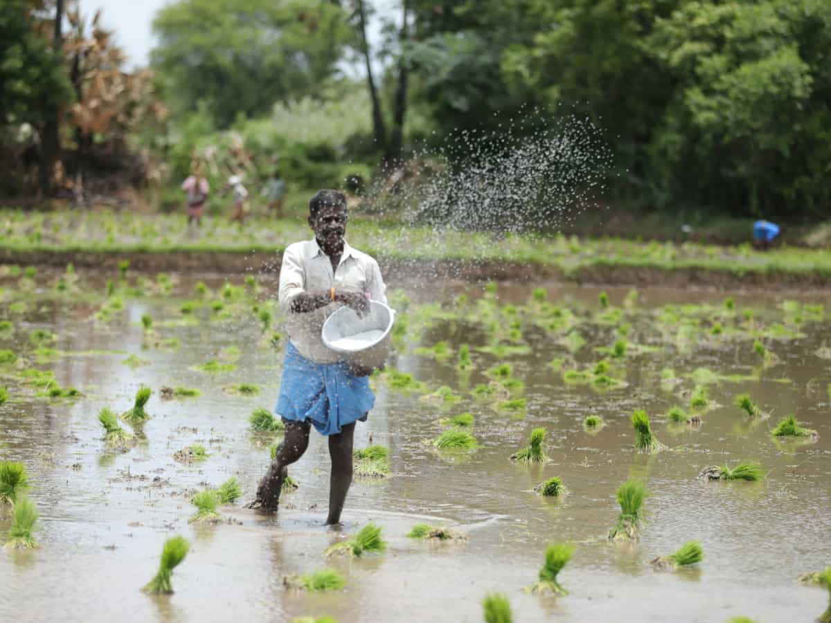 Waiting for 20th PM Kisan Instalment? Complete this process by May 31 ...