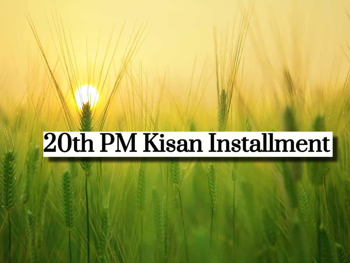 Waiting for 20th PM Kisan Instalment? Complete this process by May 31 to confirm your eligibility