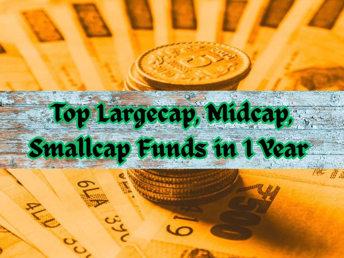Top Largecap, Midcap, Smallcap Funds in 1 Year: Rs 2,50,000 one-time investment in No. 1 fund has converted into Rs 3.08 lakh