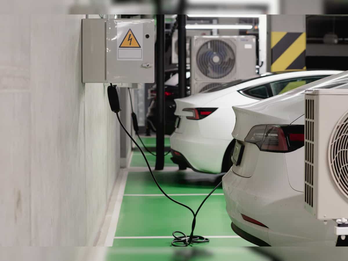Market share of electric cars in India accelerates