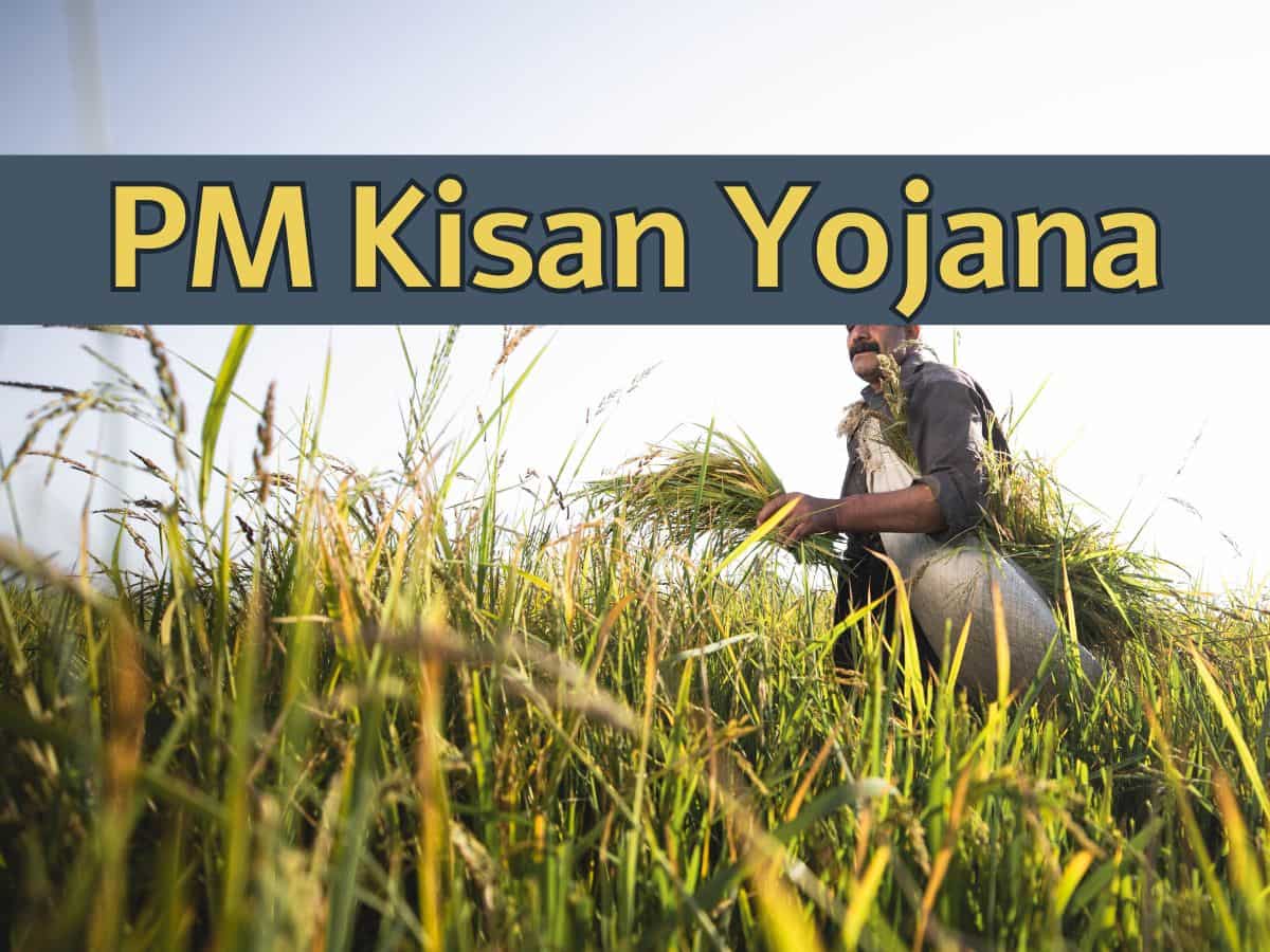 PM Kisan Yojana 20th Instalment: These farmers may not receive Rs 2,000 – check eligibility