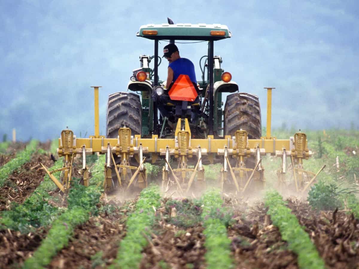 Who is eligible for the PM Kisan Yojana 20th instalment? Who is eligible for the PM Kisan Yojana 20th instalment?