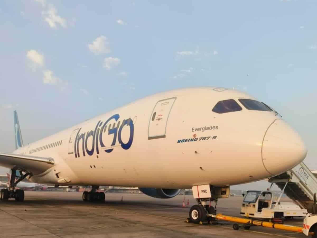 Airline Stock Pick | IndiGo