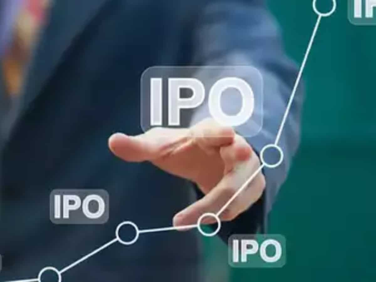 Oswal Pumps IPO: Key concerns Oswal Pumps IPO: Key concerns