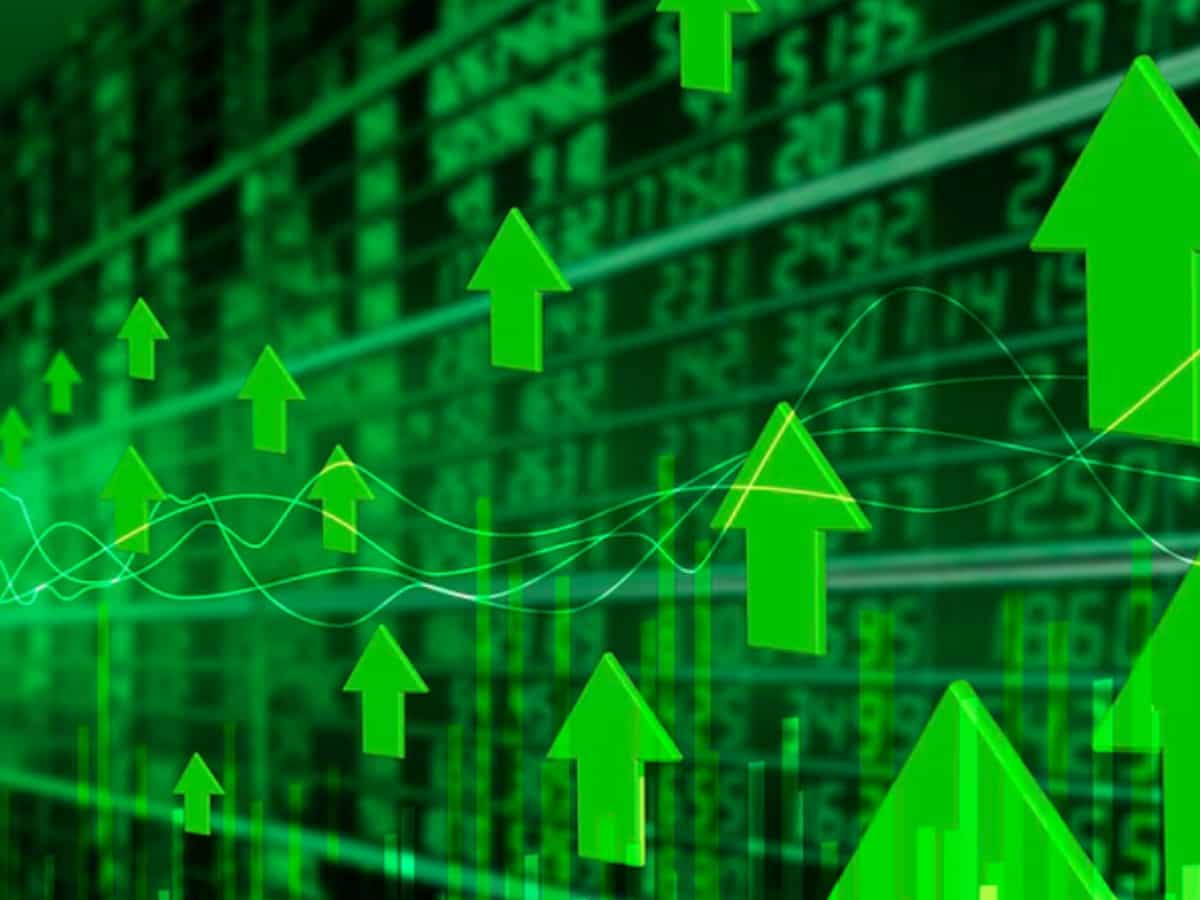 Concentrated bets work for some dedicated investors