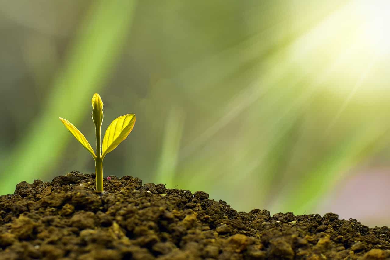 SBI Amrit Vrishti 444-Day FD: Maturity on Rs 6.5 lakh investment for general citizen SBI Amrit Vrishti 444-Day FD: Maturity on Rs 6.5 lakh investment for general citizen