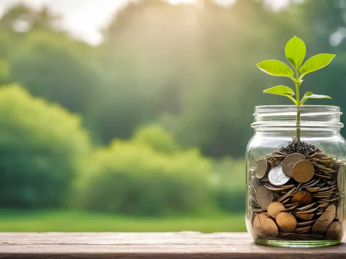 Long-term growth and risks Long-term growth and risks