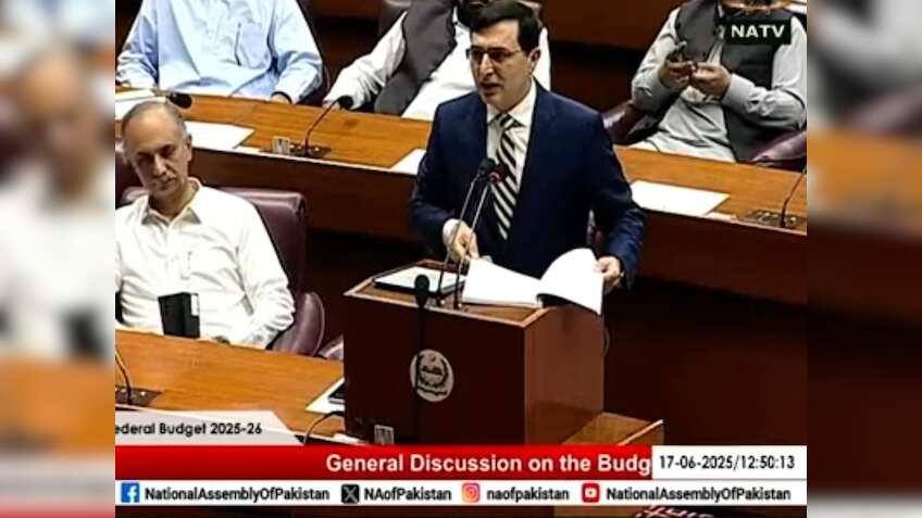 "Even one Indian state has a bigger budget than us":  key takeaways from Pak parliamentarian's viral speech