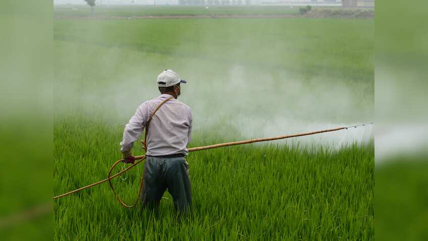 India's agrochemical exports set for moderate rebound in FY25: Rubix report