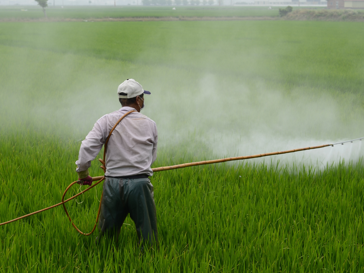 India's agrochemical exports set for moderate rebound in FY25: Rubix report
