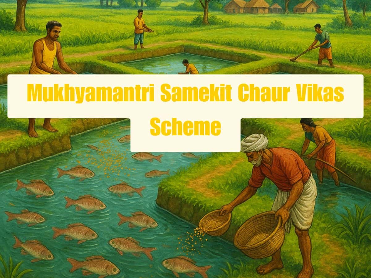 Mukhyamantri Chaur Vikas Scheme: Bihar government pays up to 70% subsidy to land-owning farmers-Everything you need to know