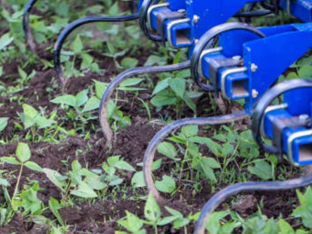 Agri-input stocks: Fundamentals firm, says HSBC; advises buying UPL and 1 more, maintains ‘reduce' on Tata group scrip