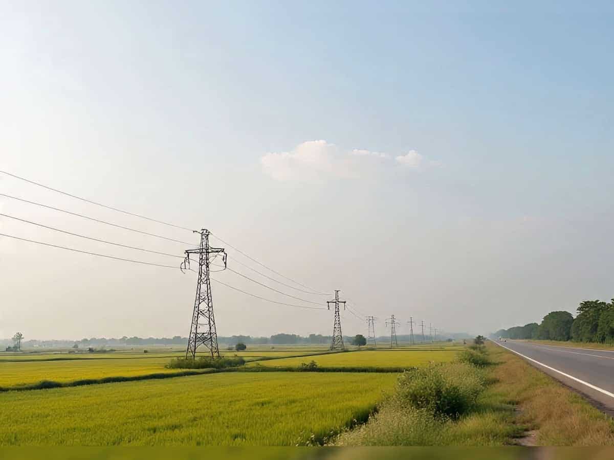 MCX hits record high, IEX rises as exchanges sign electricity contracts pact