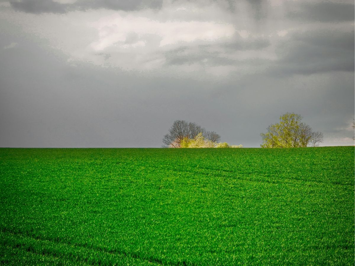 Good Monsoon, Fantastic Agriculture! Bountiful rains boost kharif