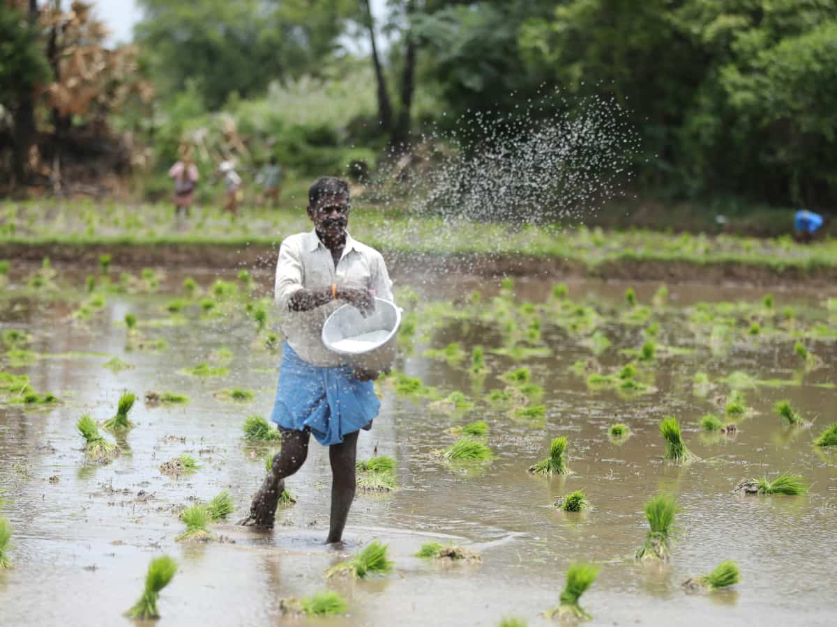 PM-KISAN 20th instalment coming soon? Here's what farmers must do first