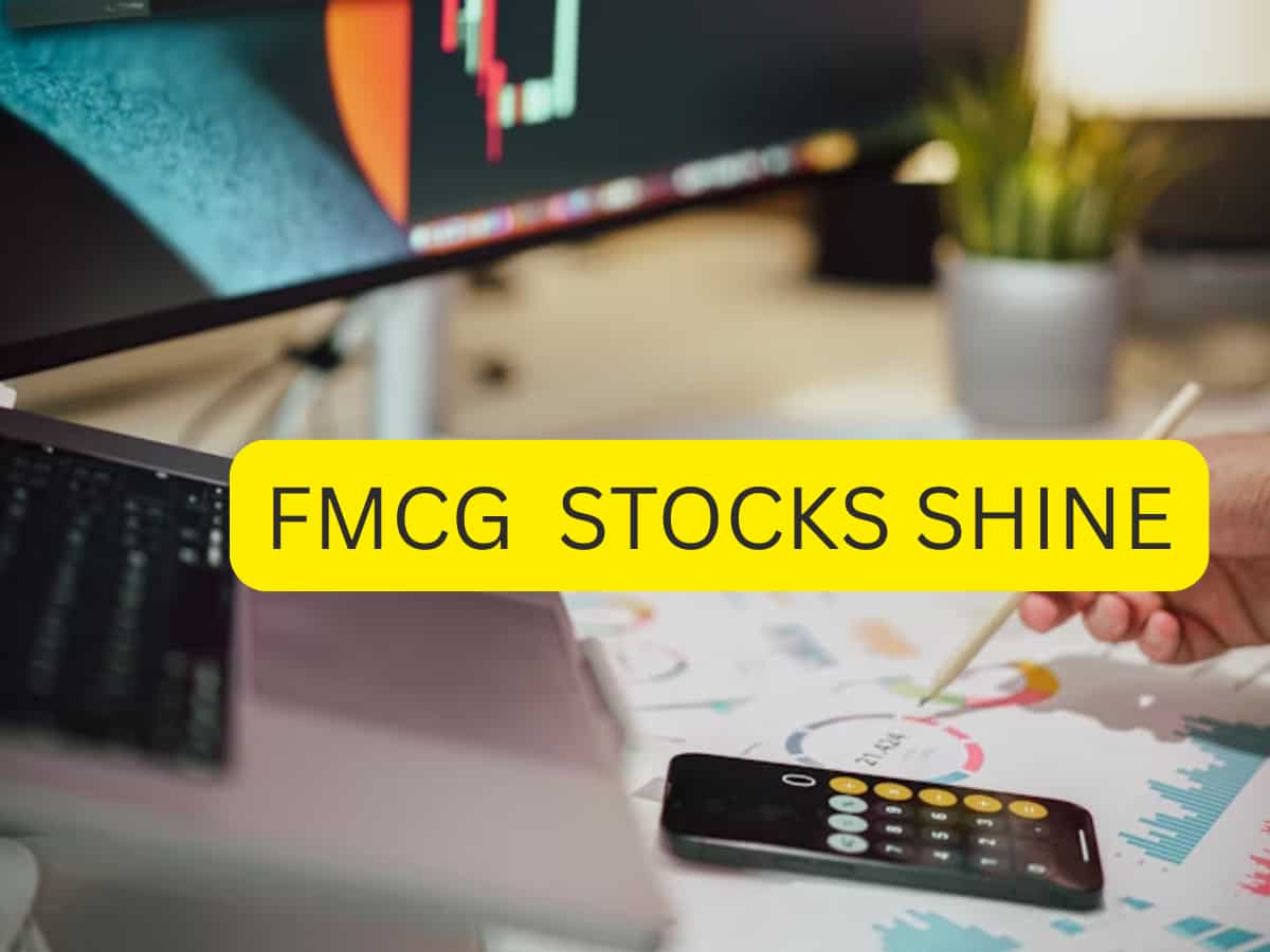 FMCG stocks rally on urban demand recovery; BSE FMCG index gains in weak market