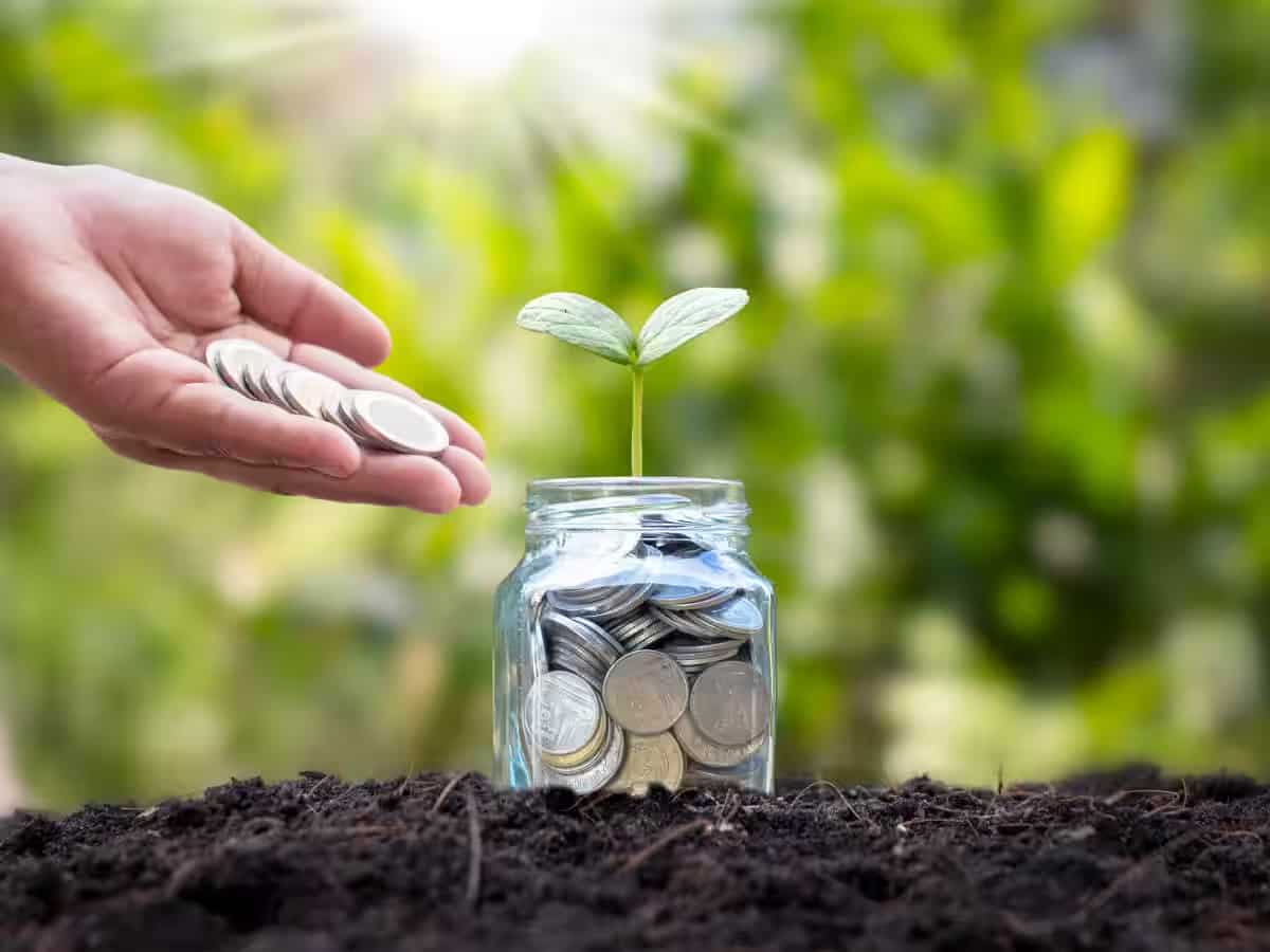Top 5 Large and Mid Cap SIP Mutual Funds in 10 Years: Rs 12,500 monthly investment in No. 1 fund has jumped to Rs 48,51,472