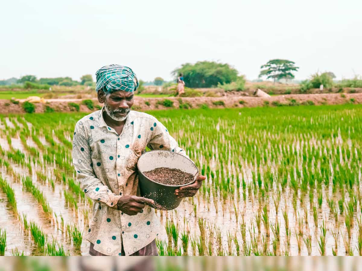 PM Kisan 20th Instalment: Beneficiary farmers should complete