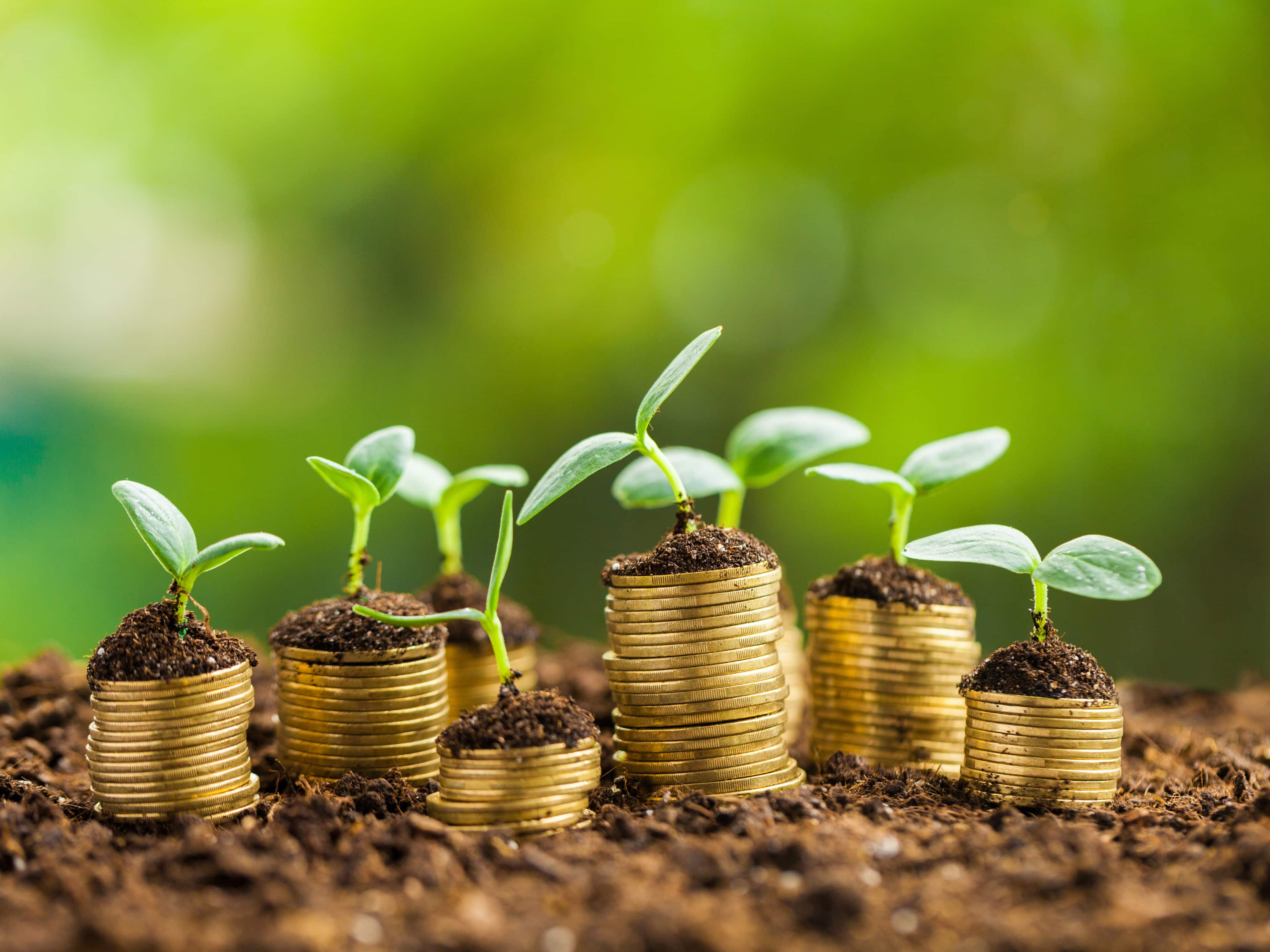 Rs 19 lakh investment to Rs 3 crore plan: Calculations