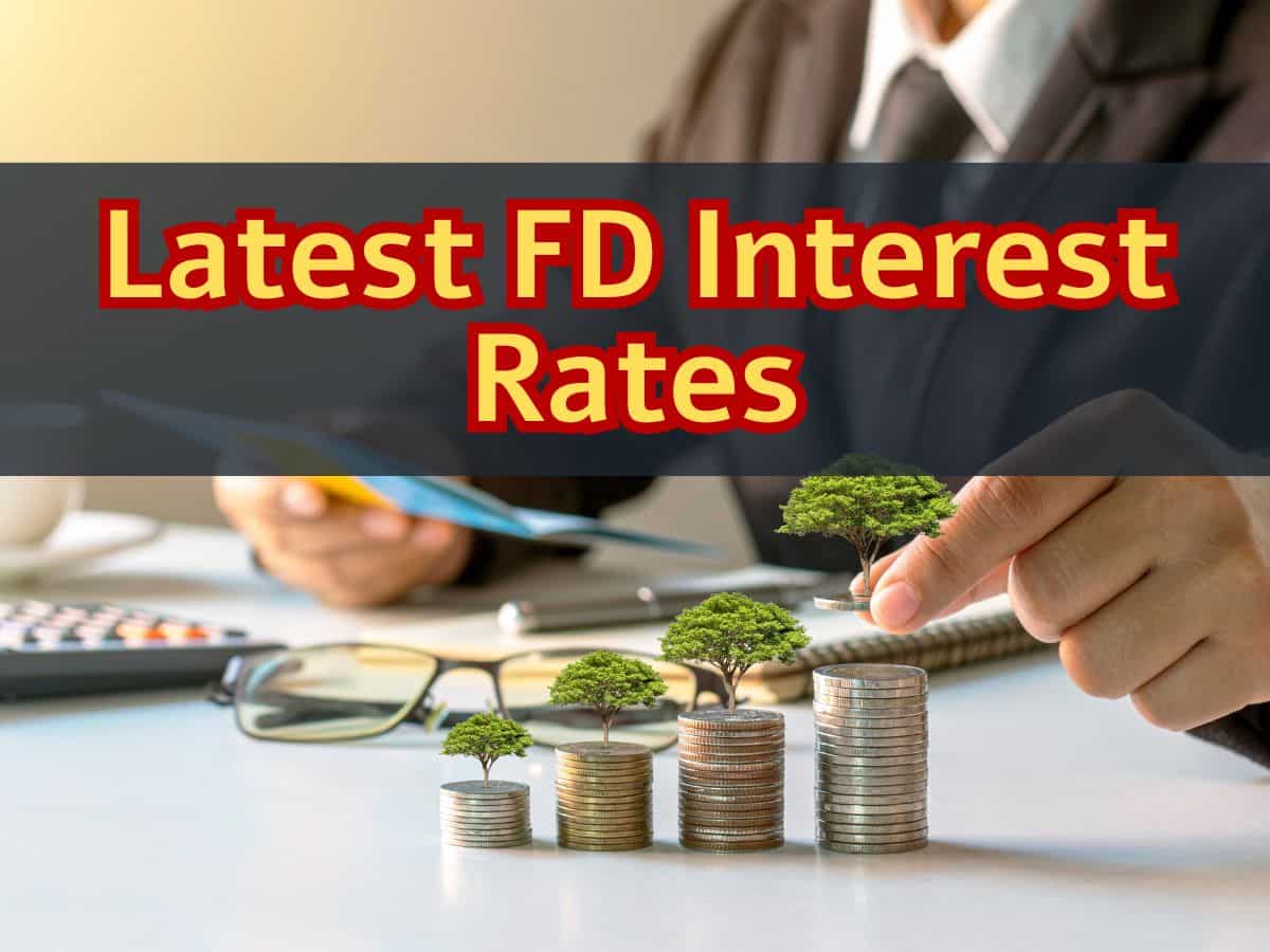 Rs 13 Lakh Investment in FD: Compare SBI, HDFC Bank, ICICI Bank, PNB, post office 3-year fixed deposit returns