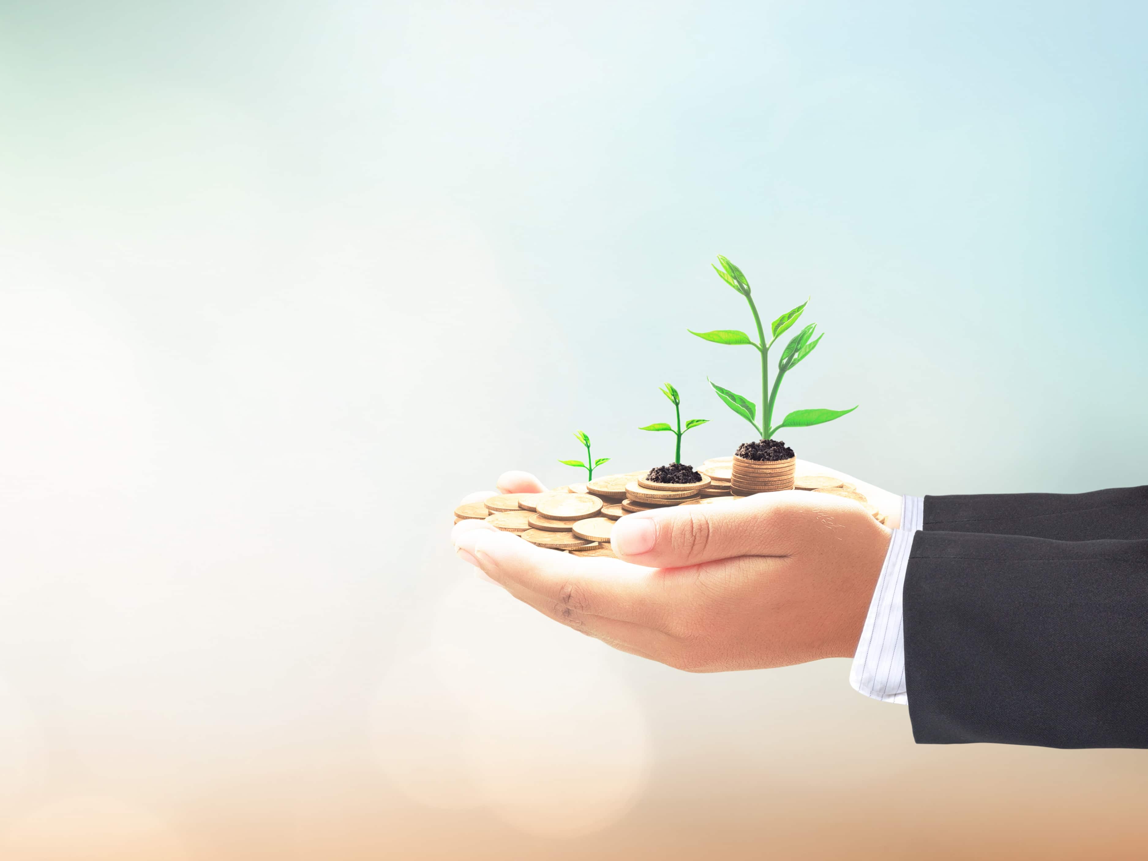 ICICI FD Interest Calculation: Rs 13 Lakh Investment ICICI FD Interest Calculation: Rs 13 Lakh Investment