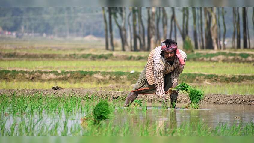 Over 1,100 farmer producer organisations cross Rs 1 crore turnover under Centre’s FPO scheme