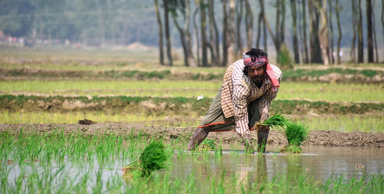 Over 1,100 farmer producer organisations cross Rs 1 crore turnover under Centre’s FPO scheme