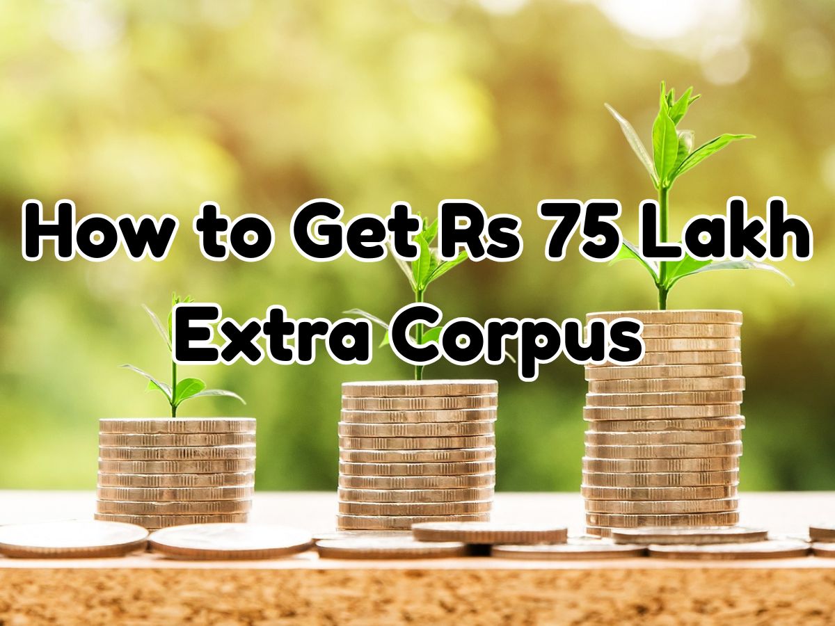 Retirement Planning From One-time Investment: How Rs 2.50 lakh lump sum investment may help generate Rs 75 lakh extra corpus for you