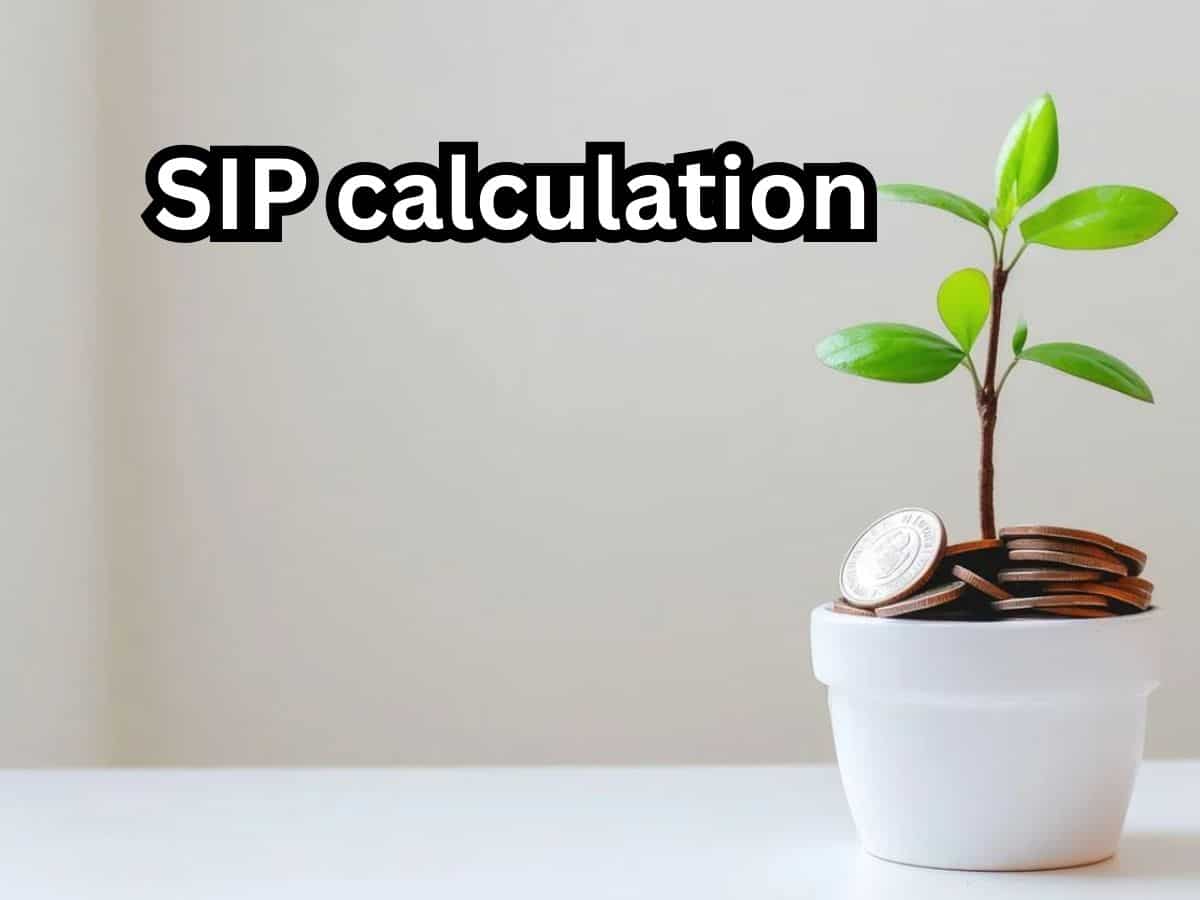 SIP Calculation: Rs 20,000/month investment, how quickly can you generate Rs 8 crore corpus? See calculations