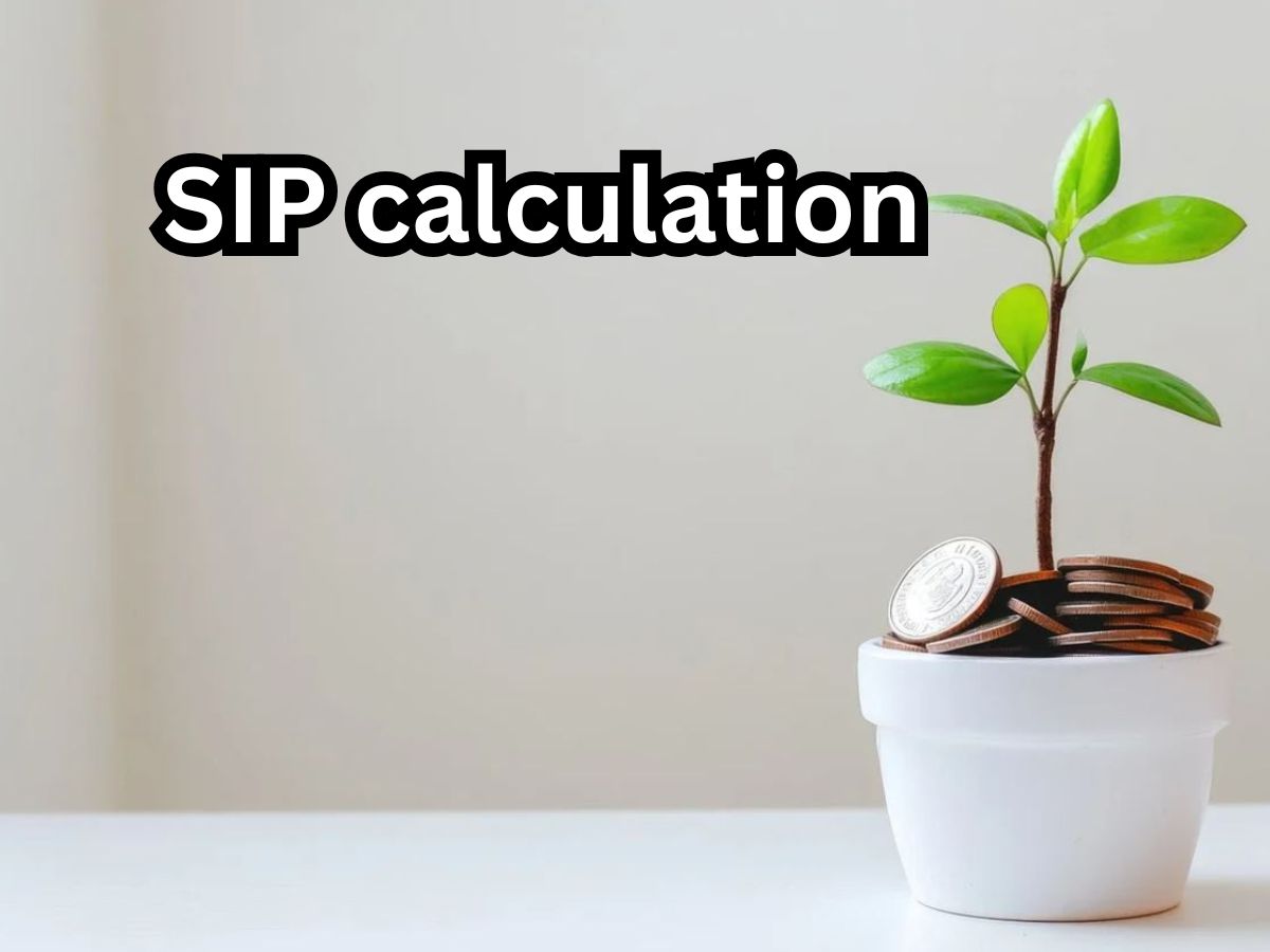 SIP Calculation: Rs 20,000/month investment, how quickly can you ...