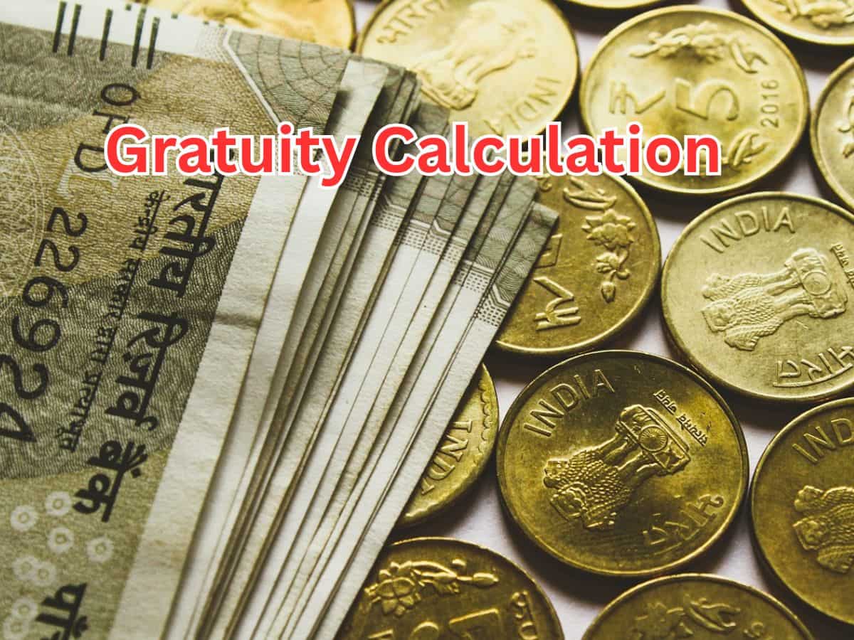 Gratuity Calculation: What will be your gratuity for Rs 28,000, Rs 43,000, and Rs 67,000 last-drawn basic salary after 7 years and 3 months of service?