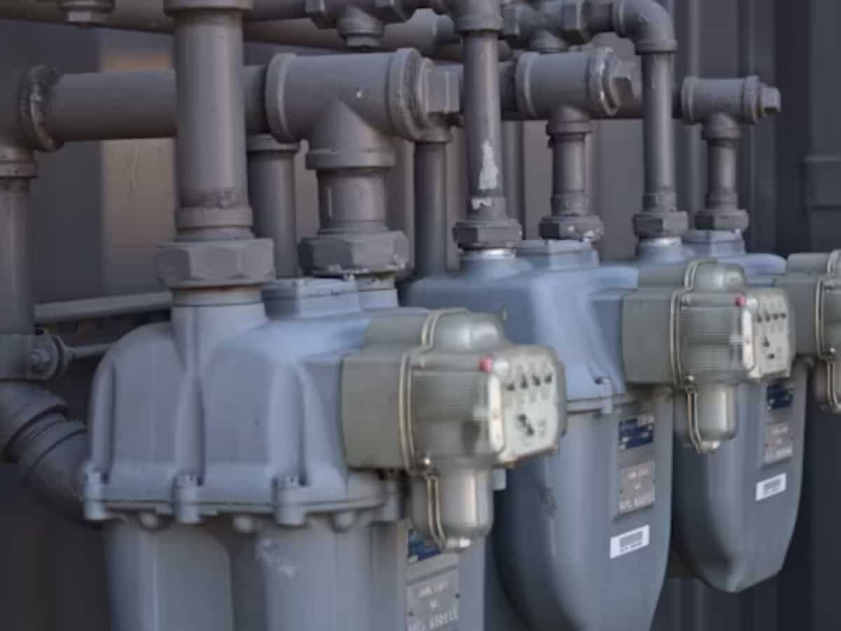 Natural gas consumption in India likely to reach 103 bcm per year by 2030: Top govt official