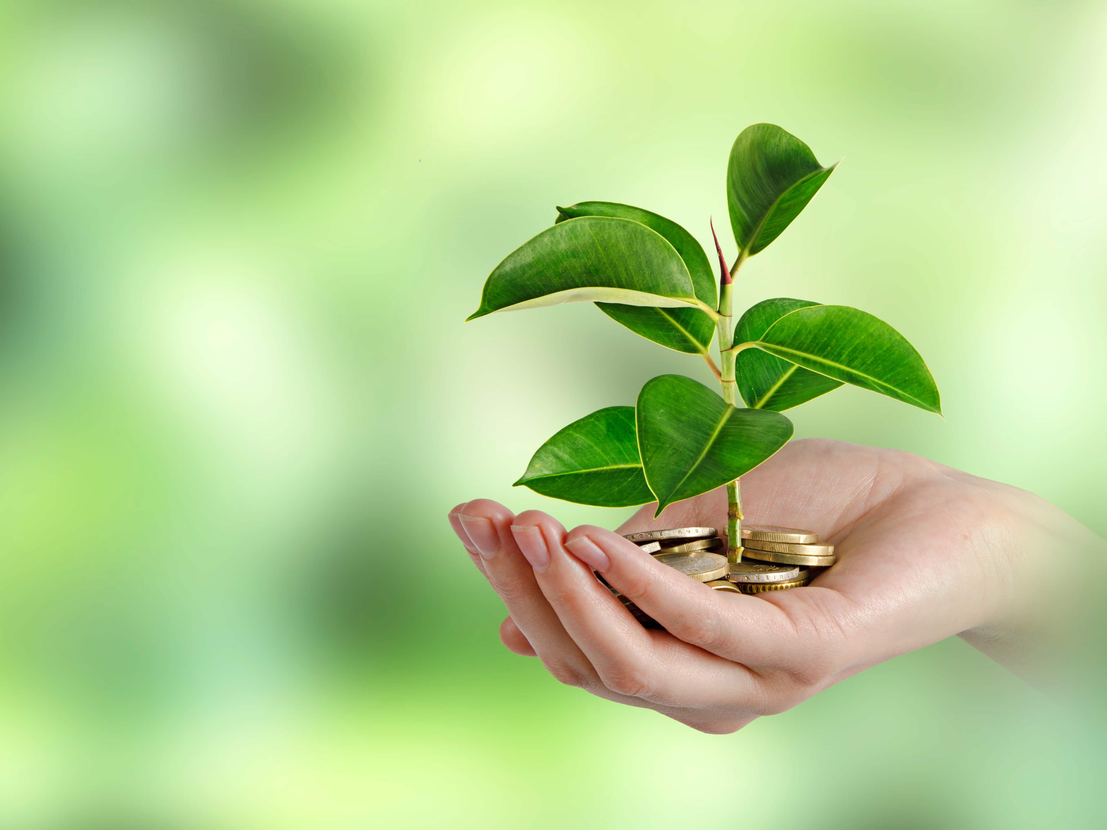 PPF Interest Rate 2025: How much interest will be earned in 15 years with Rs 95,000 annually?