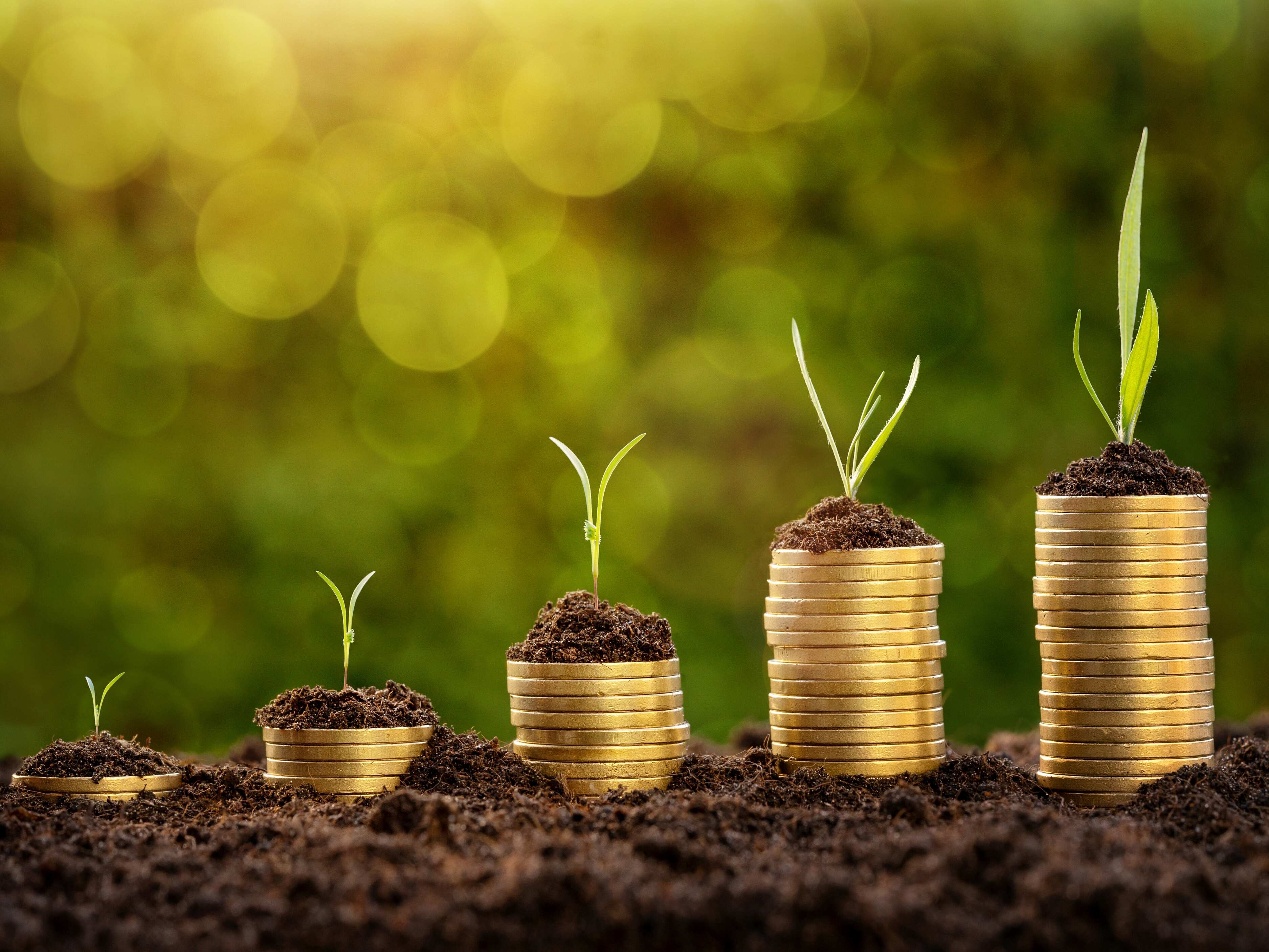 SIP Investment Calculation: How much money can you invest in 15 years?