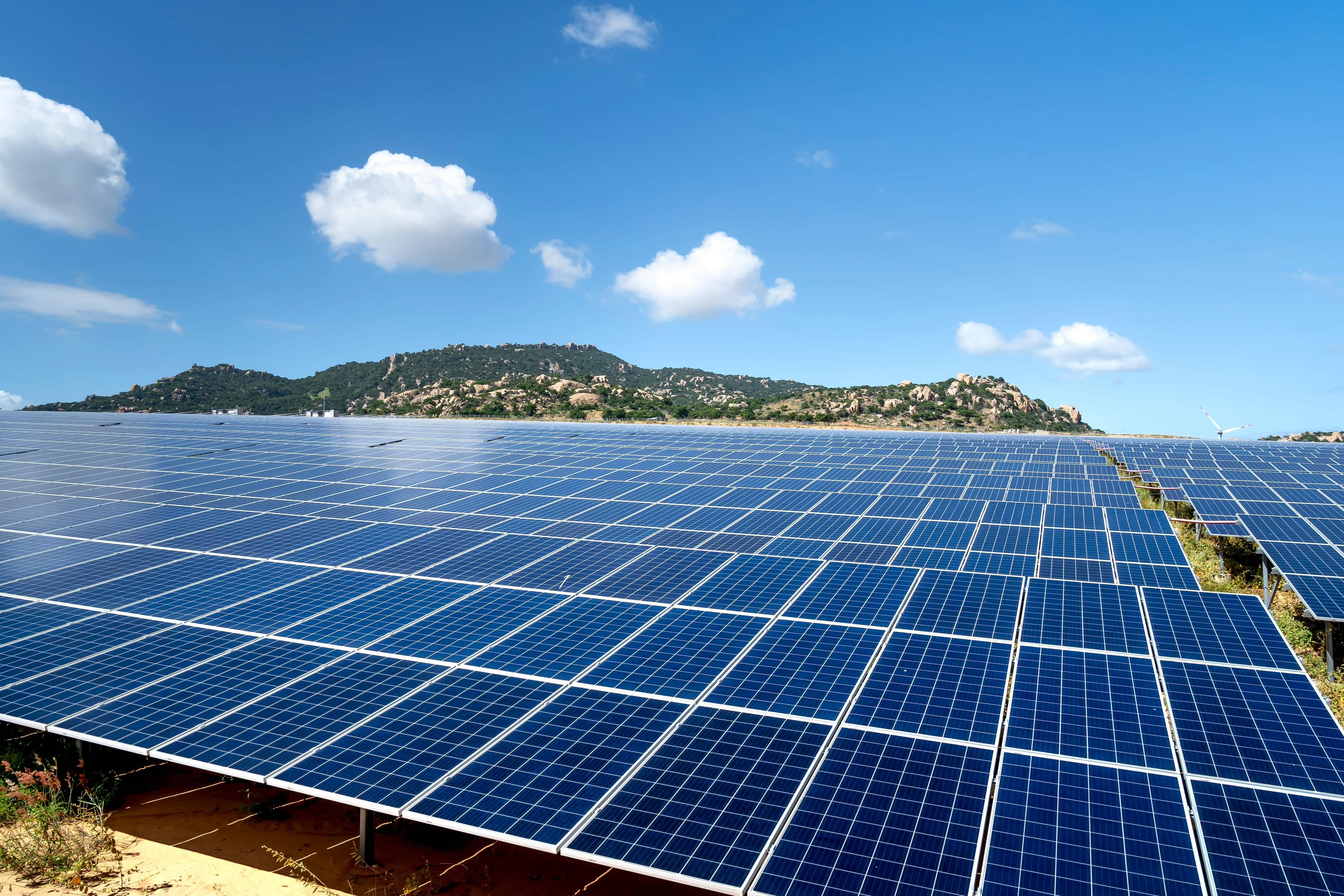 Acme Solar Holdings reports Rs 131 crore profit in Q1FY26