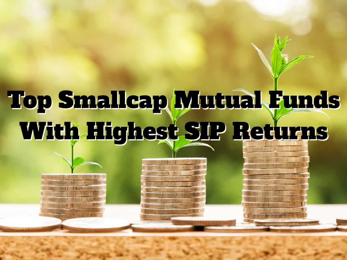 Top 4 Smallcap Mutual Funds With Highest SIP Returns in 10 Years: Rs 15,000 SIP investment in No. 1 fund has jumped to Rs 73 lakh