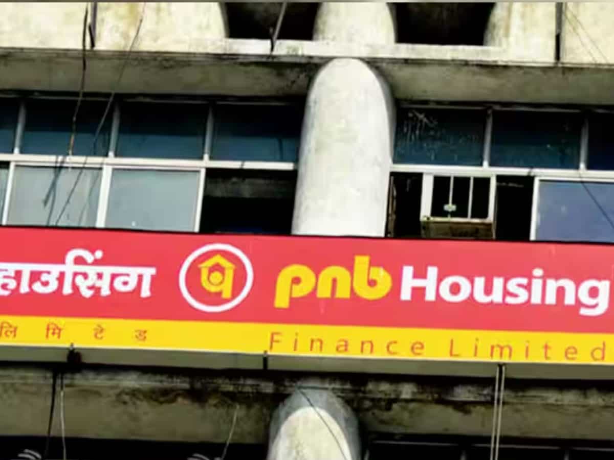 PNB Housing Finance Shares Dive After CEO Resignation: What's the Outlook for Investors?