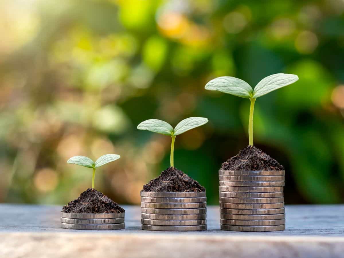 Unity Small Finance Bank: Interest Rate