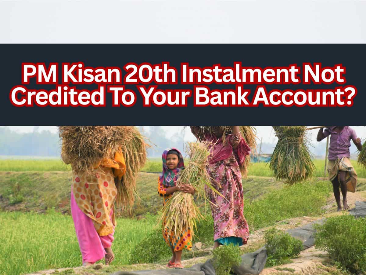 PM Kisan Yojana 20th installment: Rs 2,000 not credited to your bank account? Here's how to register complaint online
