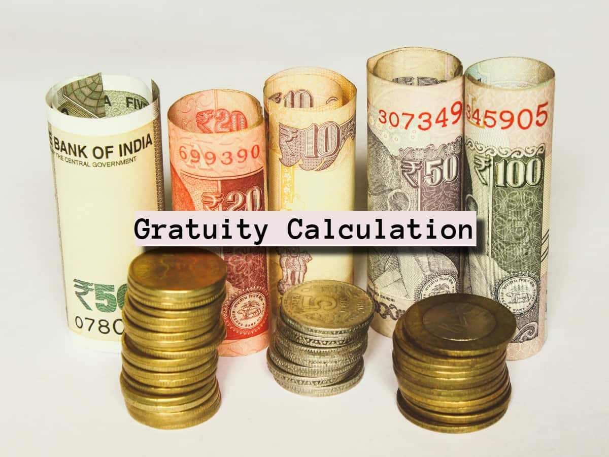 Gratuity Calculator: What will be your gratuity payout for Rs 65,000, Rs 75,000 & Rs 85,000 last-drawn basic salary after 9 years and 6 months of service?