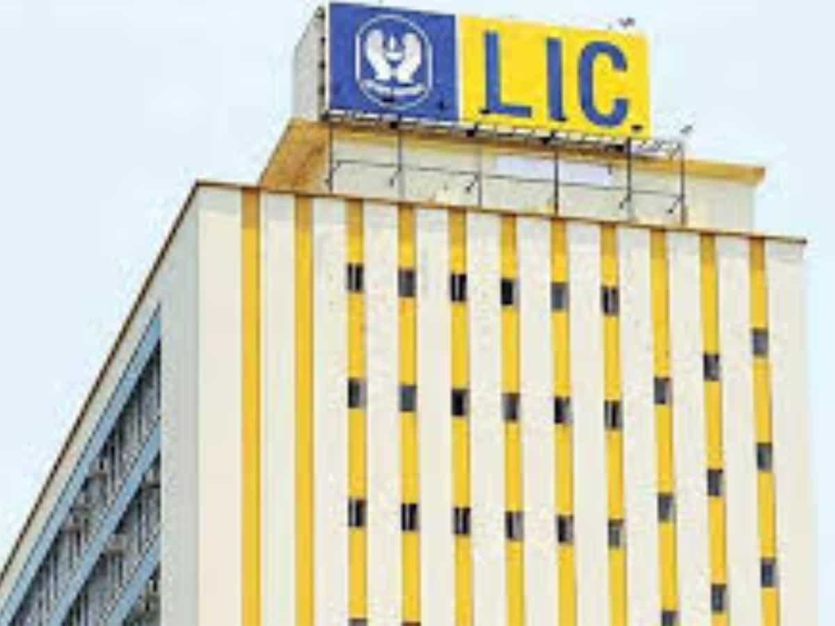 LIC Q1 Results: Profit rises 4% YoY to Rs 10,957 crore; premium income grows, VNB margin up nearly 14%