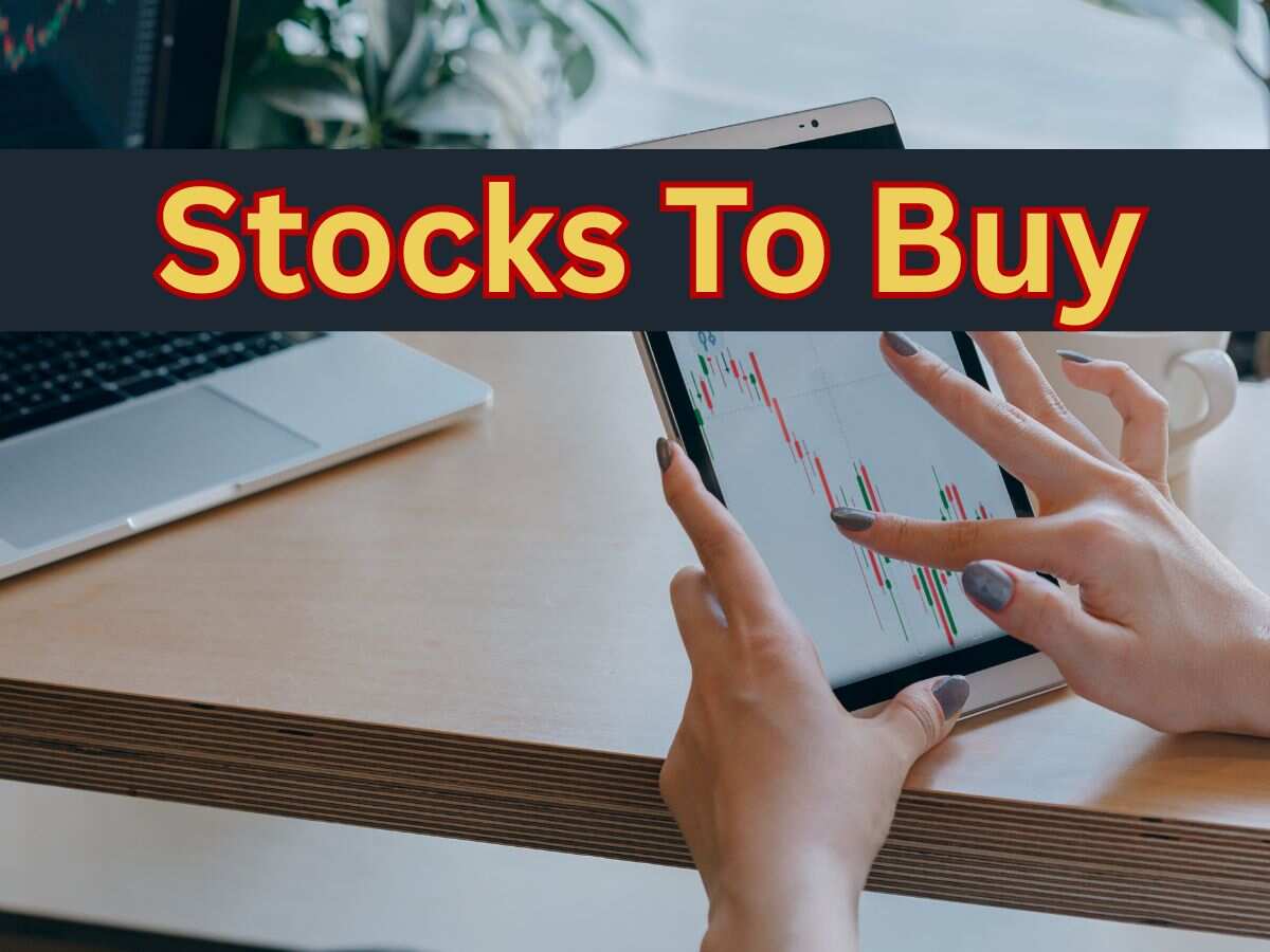 7 Stocks To Buy For Long Term: Analysts recommend largecap, midcap, smallcap scrips; Dalmia Bharat, TVS Motor on the list